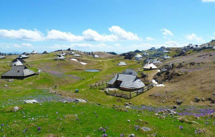 Koca Predilnica Velika Planina Villa Kamniska Bistrica Екстериор снимка
